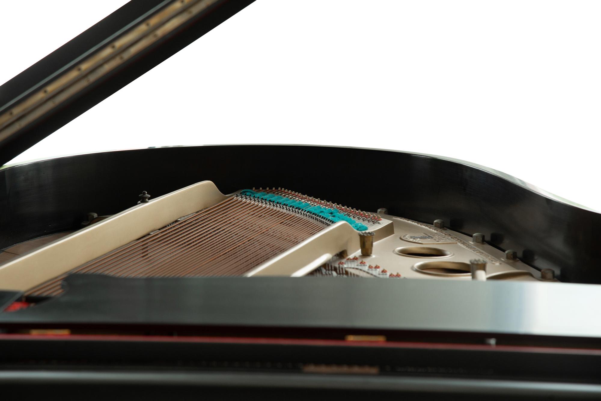 A Steinway and Sons Ebonized Grand Piano, 1926