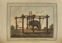 [Sporting] (Williamson, Thomas): Foreign Field Sports...