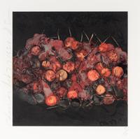Cherries