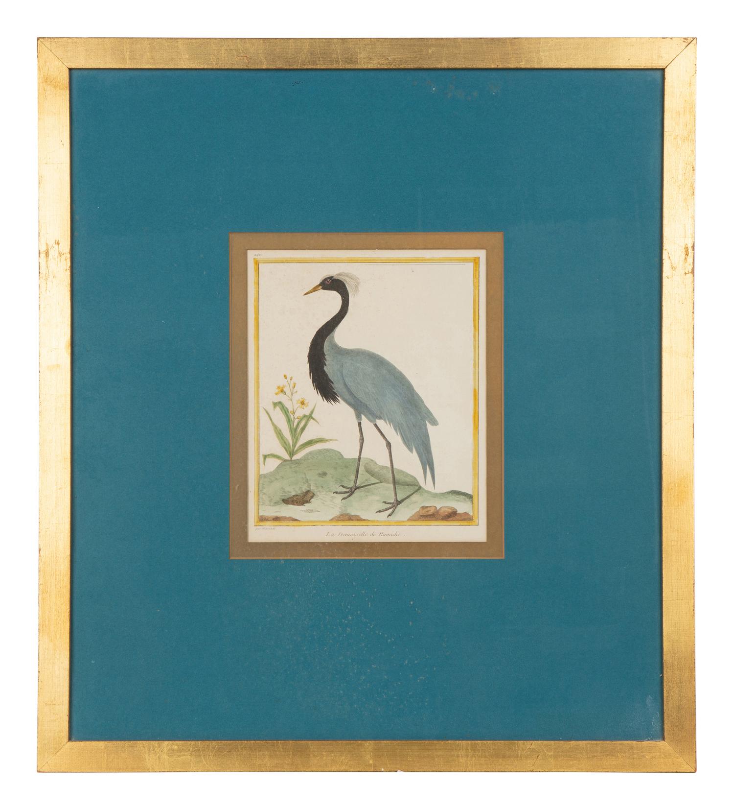 Four Bird Prints after Francoise Martinet's Histoire Naturelle Des Oiseaux — 20TH CENTURY