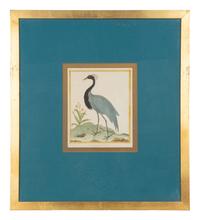 Four Bird Prints after Francoise Martinet's Histoire Naturelle Des Oiseaux — 20TH CENTURY