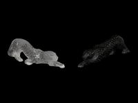 Two Lalique Zeila Panther Sculptures