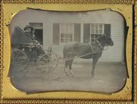 [Daguerreotype] Trusty the Horse
