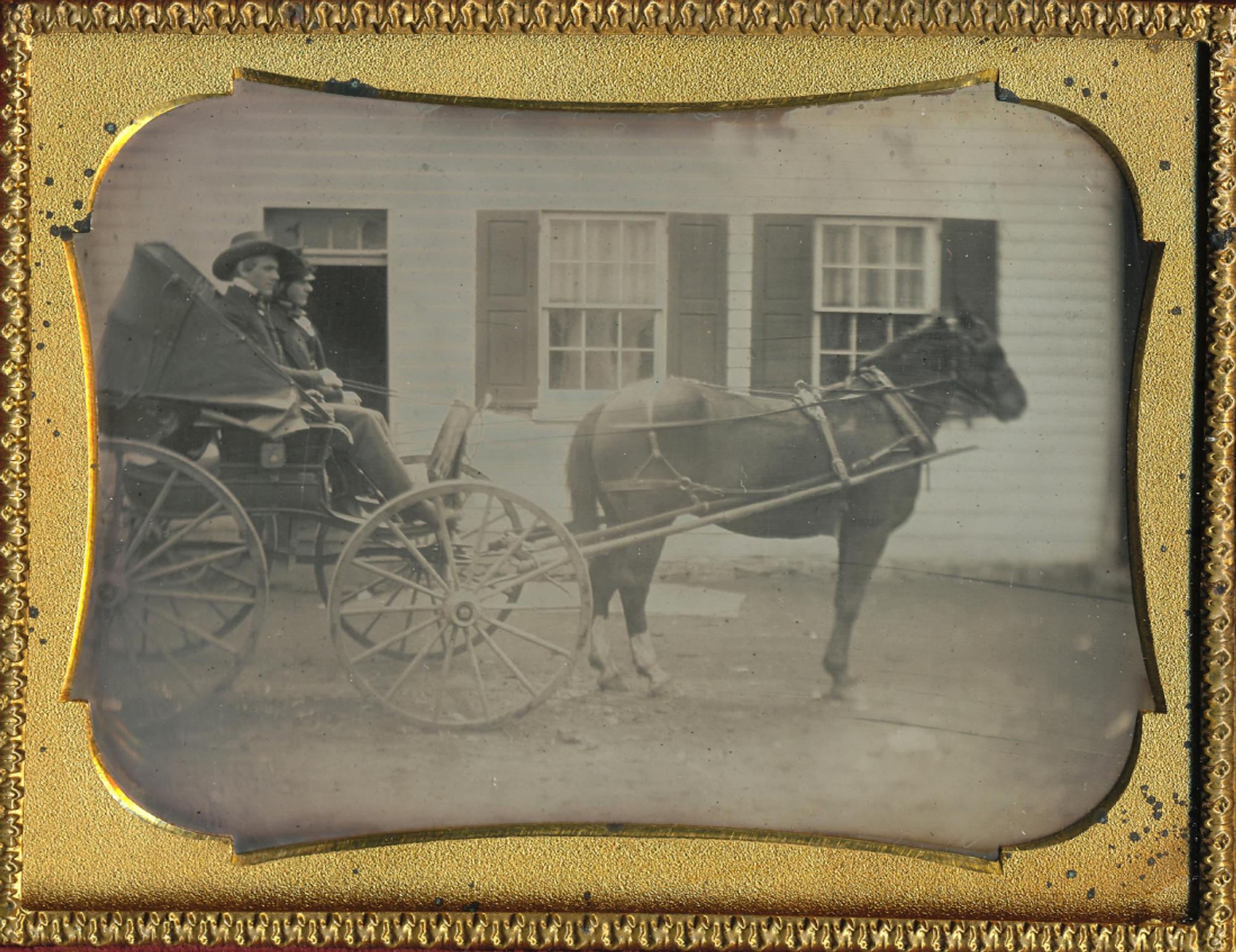 [Daguerreotype] Trusty the Horse