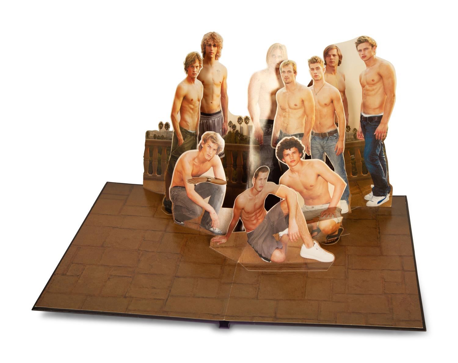Vissionaire 55, Surprise, Twelve Hardcover Pop-up Books, by Krug — 21st CENTURY