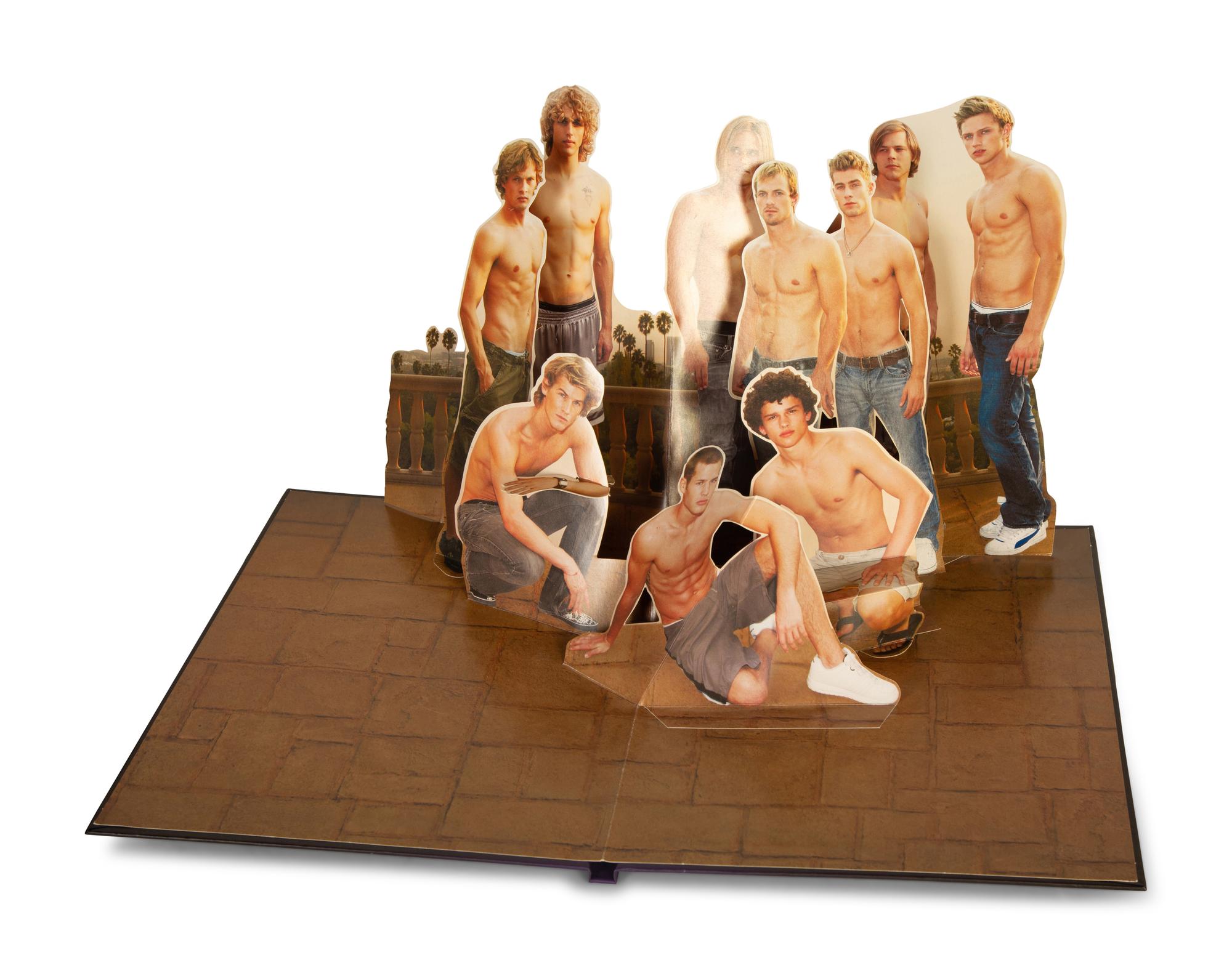 Vissionaire 55, Surprise, Twelve Hardcover Pop-up Books, by Krug — 21st CENTURY