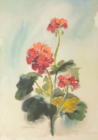 Geraniums