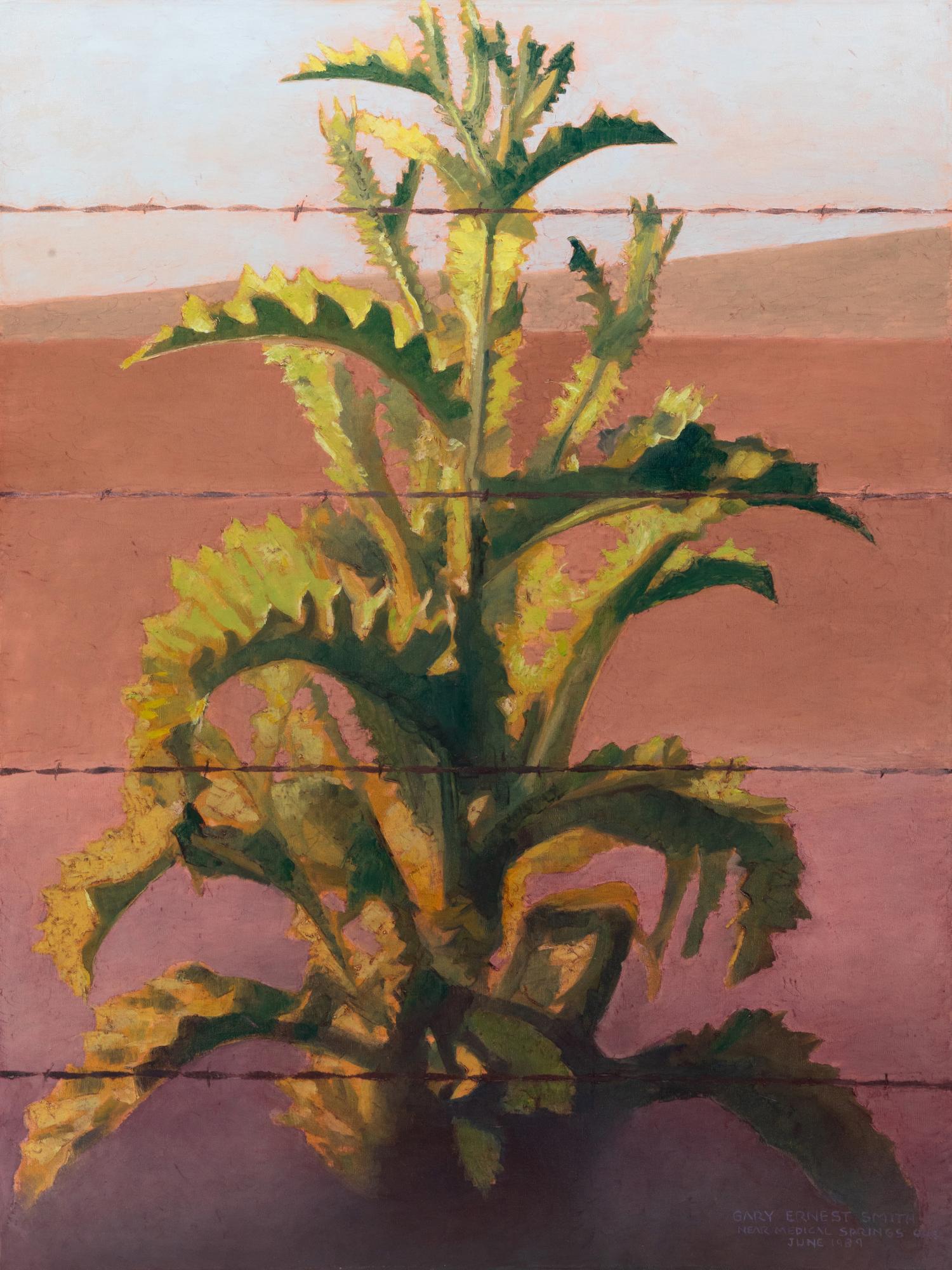Thistle with Barbed Wire, 1989