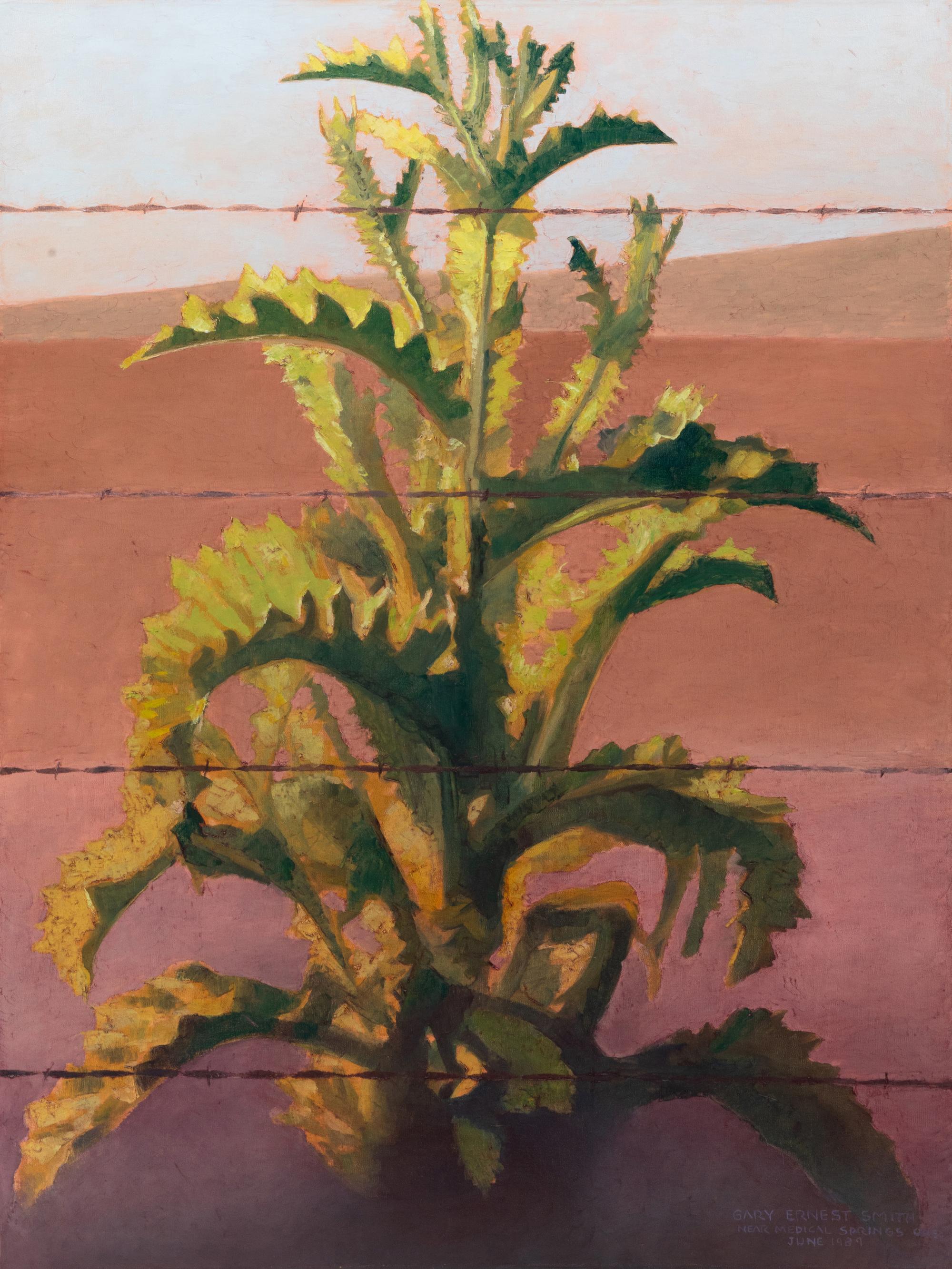 Thistle with Barbed Wire, 1989