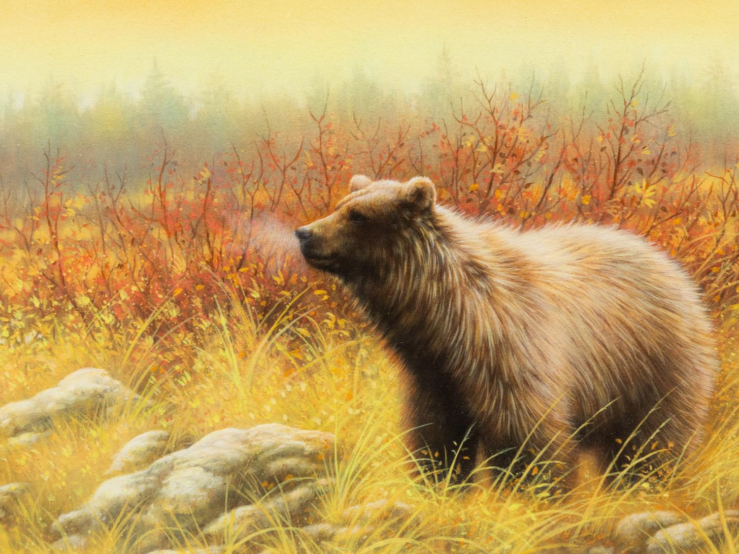 Silver Tip Grizzly