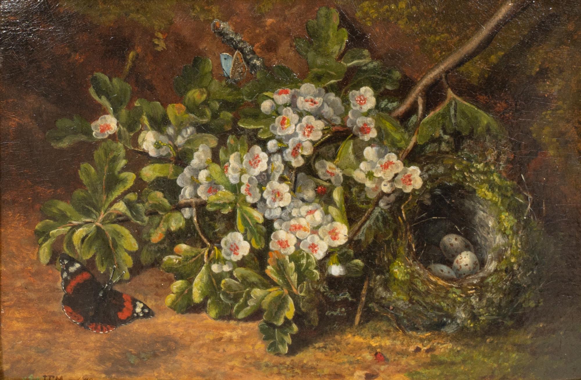 Nests among Wild Flowers (a pair)