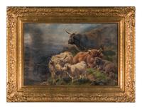 Highland Cattle , 1916