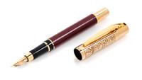 An Aurora Leonardo da Vinci Limited Edition Fountain Pen and Paperweight Set