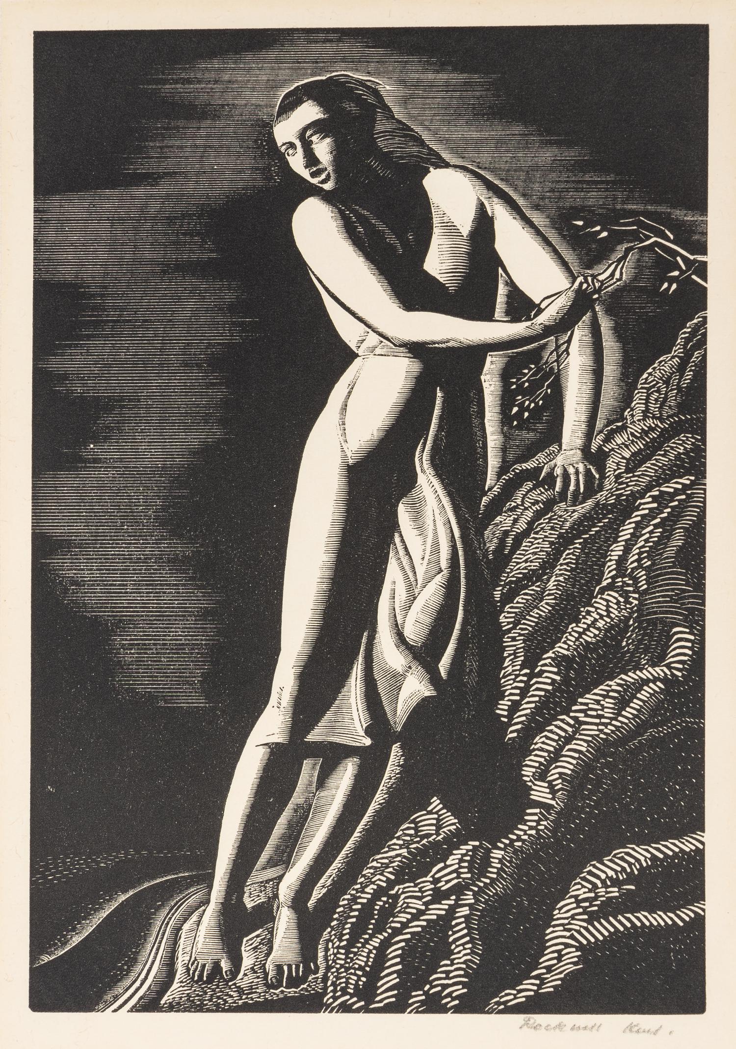 The Precipice