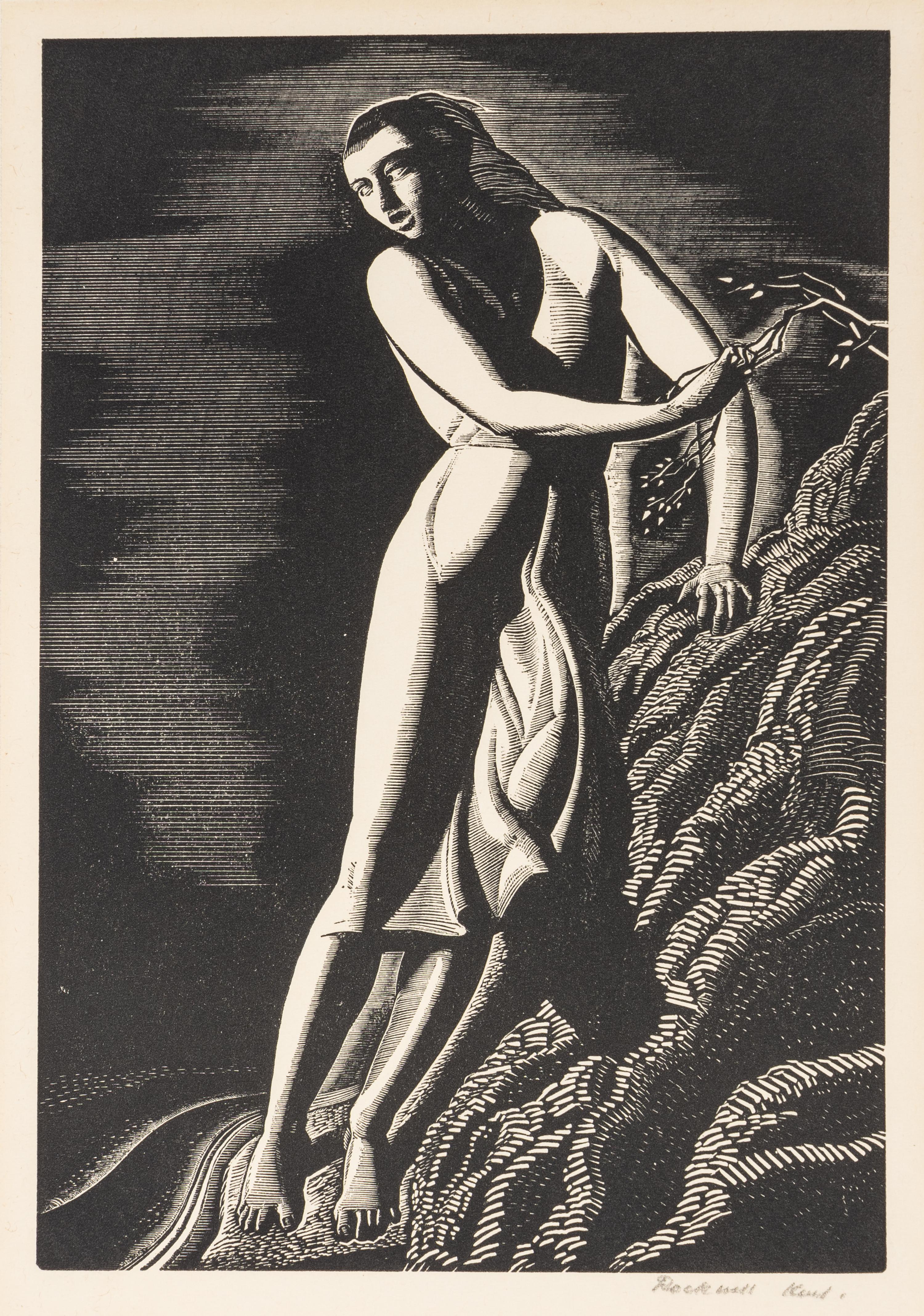 The Precipice
