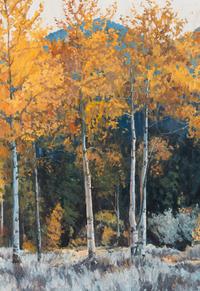 Autumn Aspens