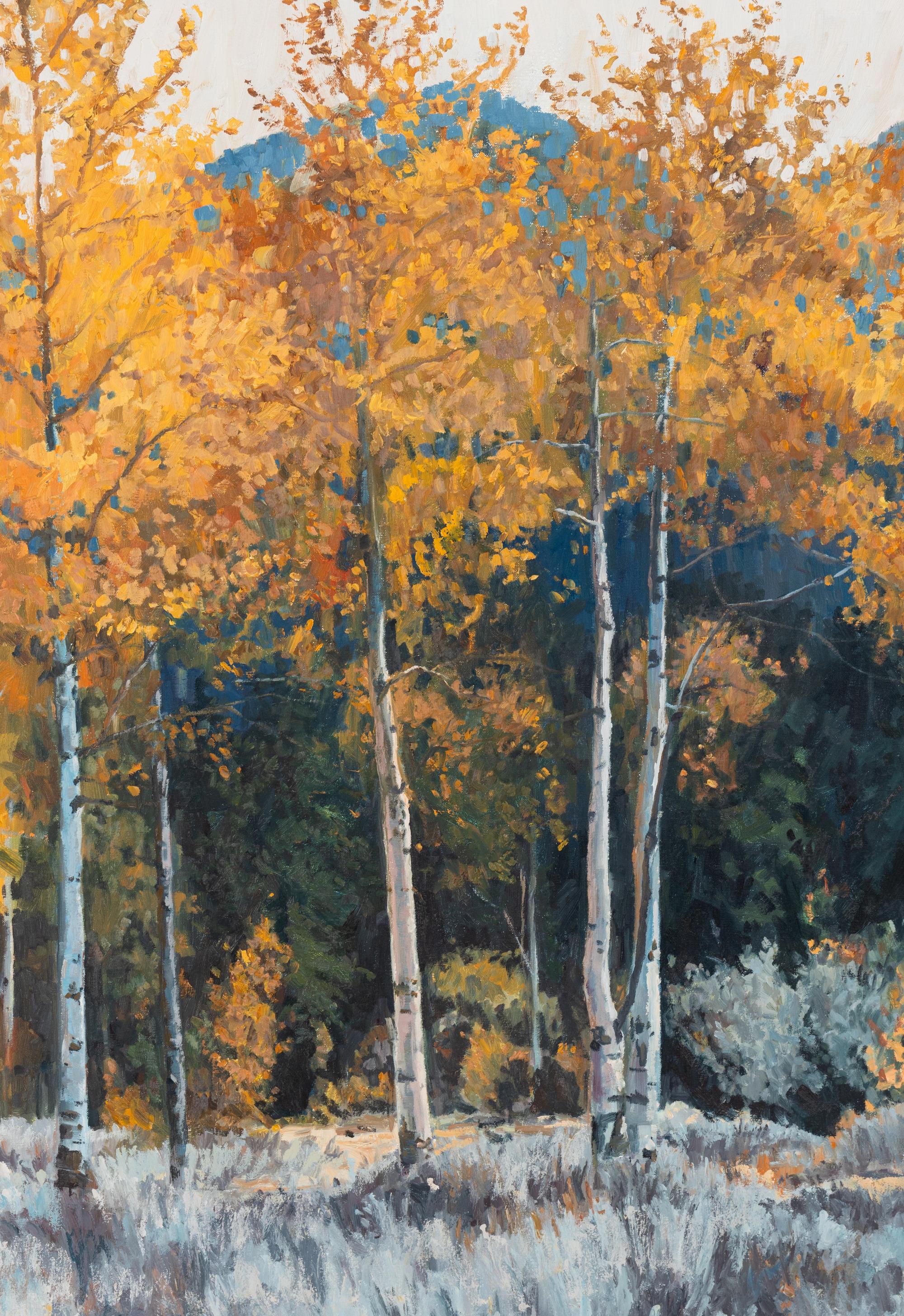 Autumn Aspens