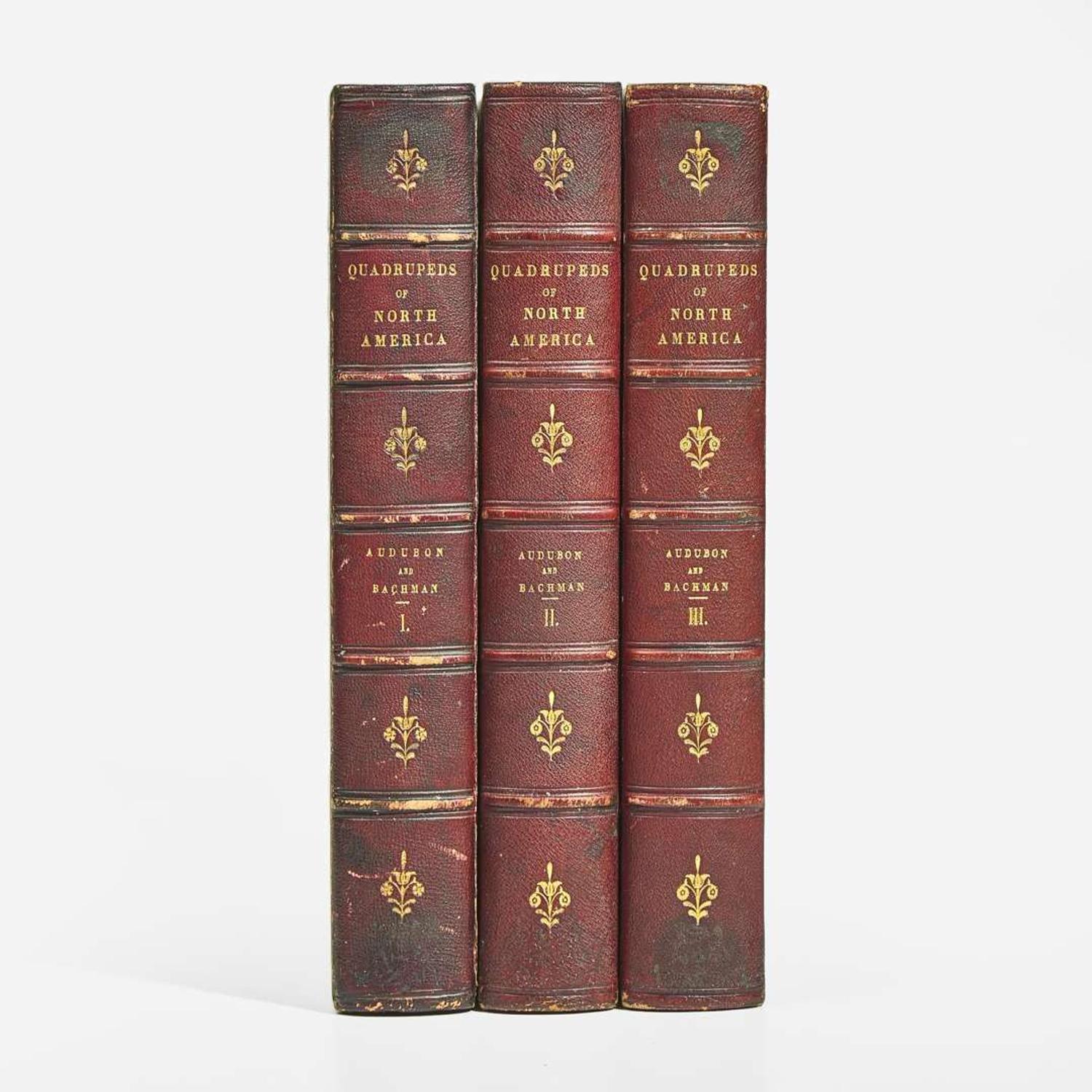 [Americana] Audubon, John James, and John Bachman The Quadrupeds of North America