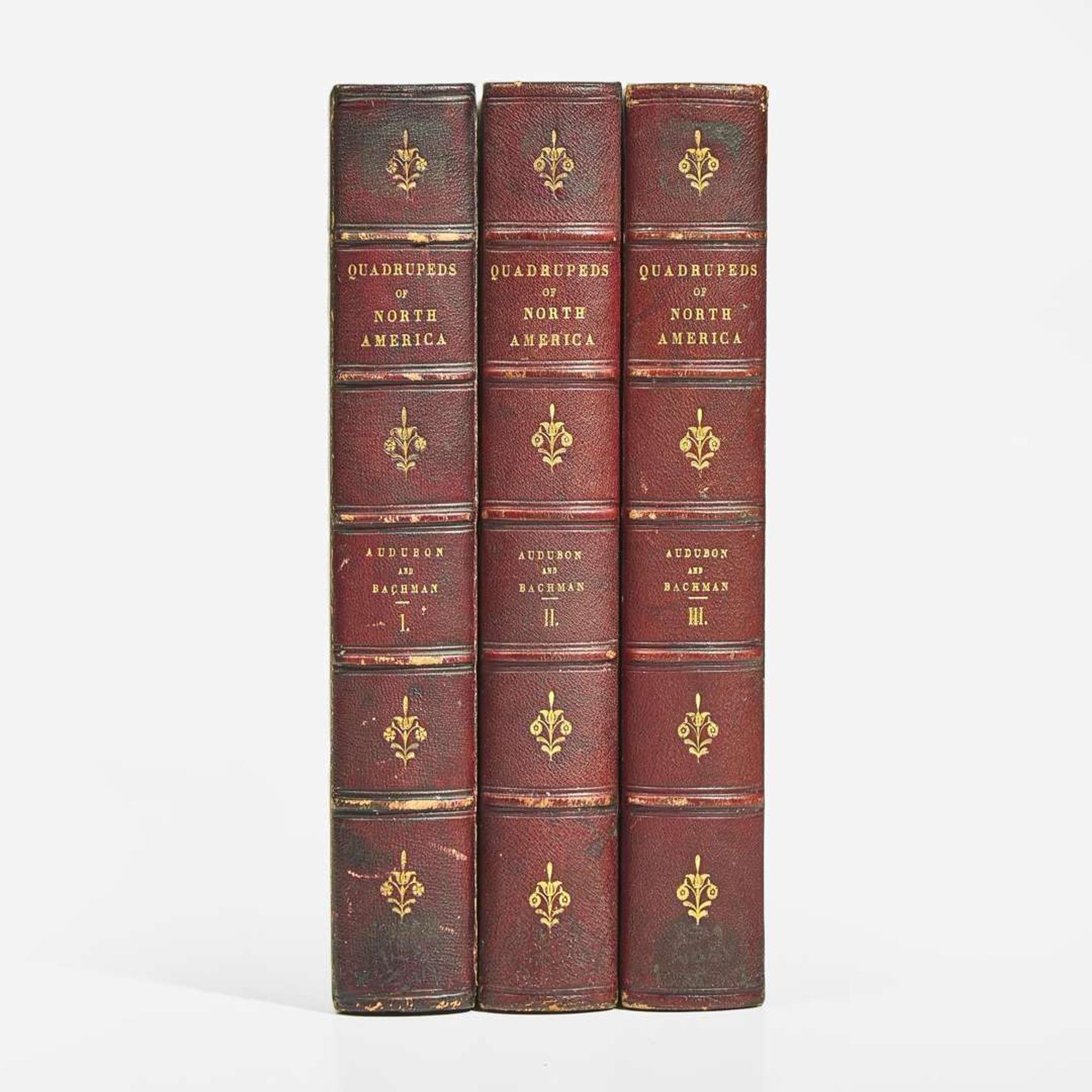[Americana] Audubon, John James, and John Bachman The Quadrupeds of North America