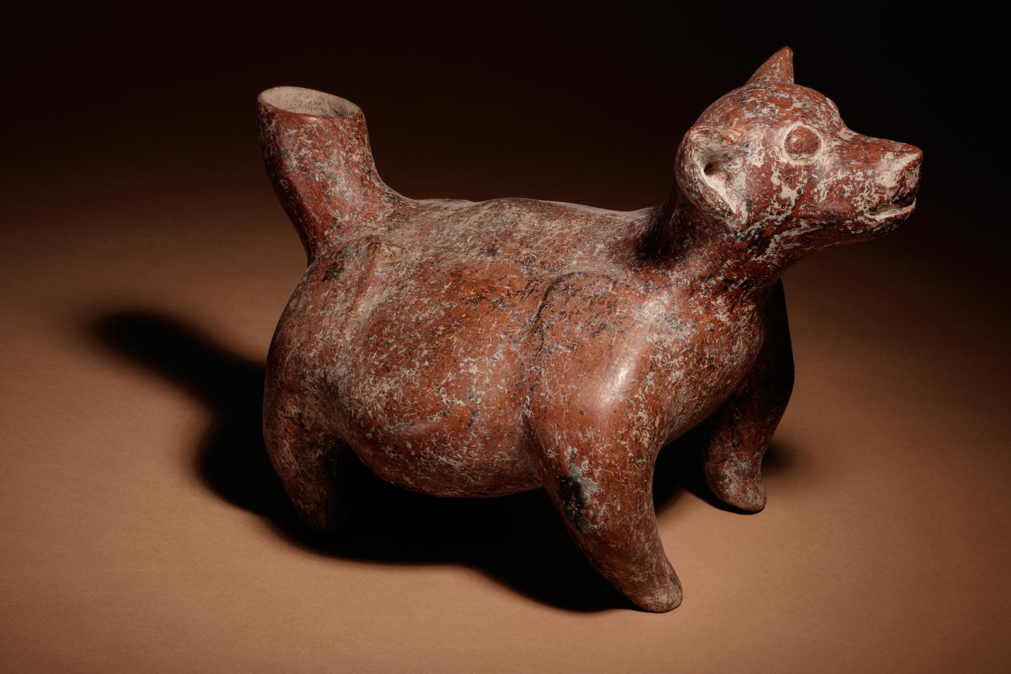 A Colima Terracotta Dog
