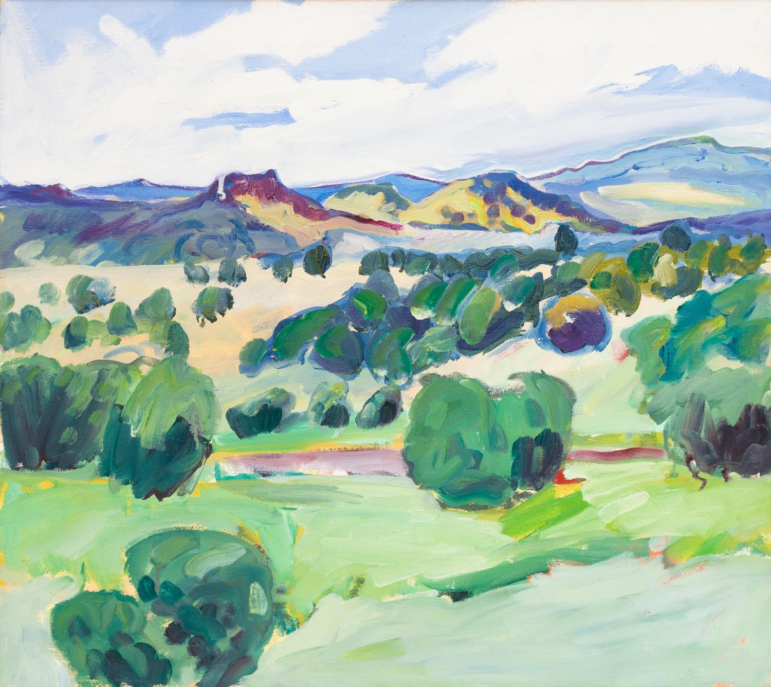 New Mexico I