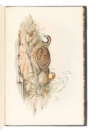 [NATURAL HISTORY]. GOULD, John (1804-1881). A Monogr a ph of the Odontophorin a e, or P a rtridges of A meric a . London: Richard and John E. Taylor for the Author, [1844]-1850.