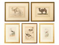 Five Miscellaneous Color Engravings