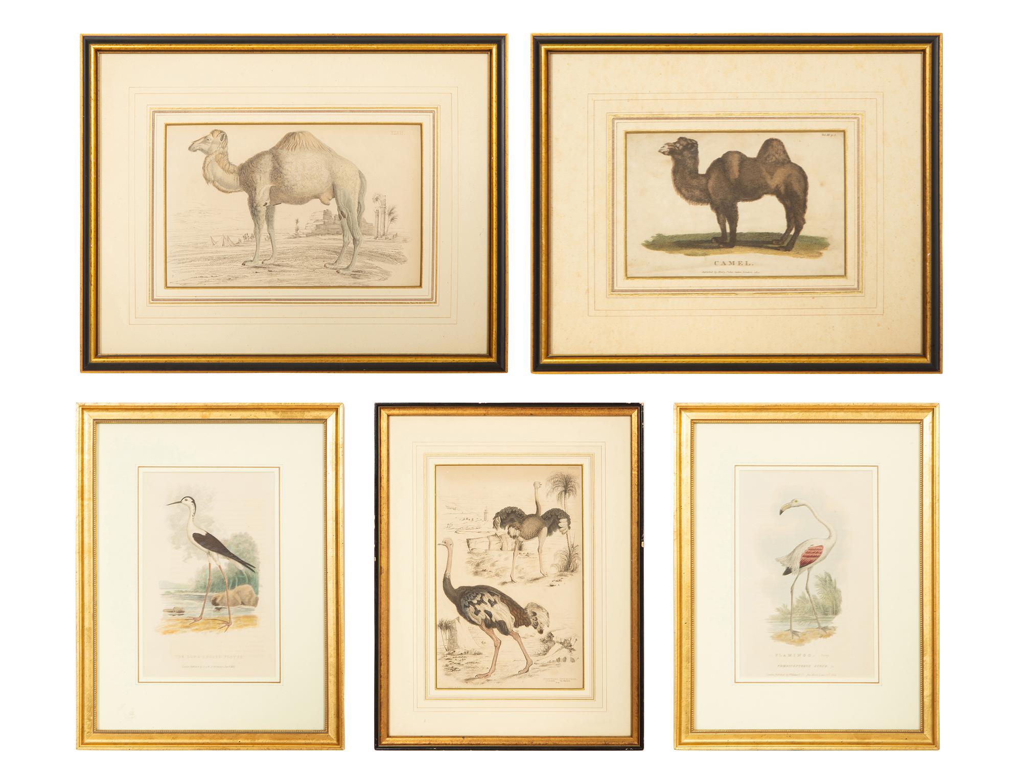 Five Miscellaneous Color Engravings