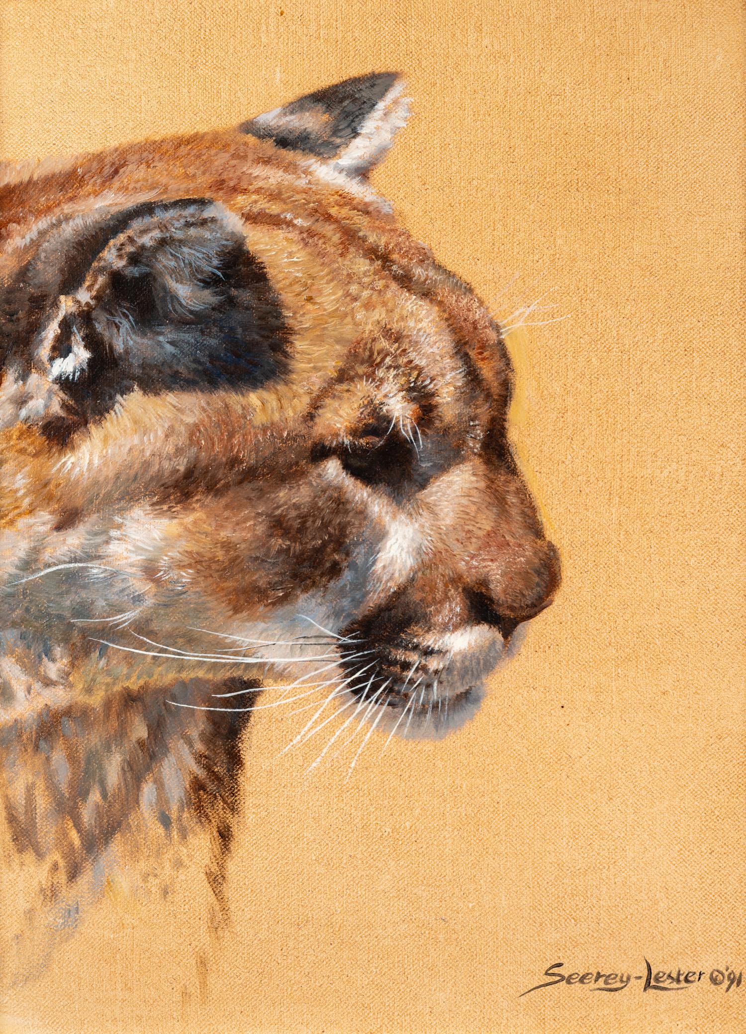Mountain Lion