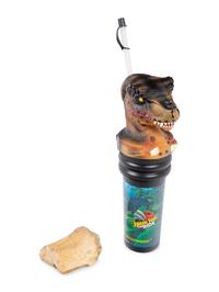 (History) A group of materials relating to dinosaurs, comprising: