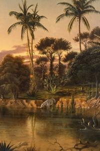 Nicaraguan Landscape, 1866