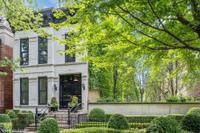 Utetheisa Bella #2 , 2005