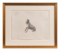 The Dog