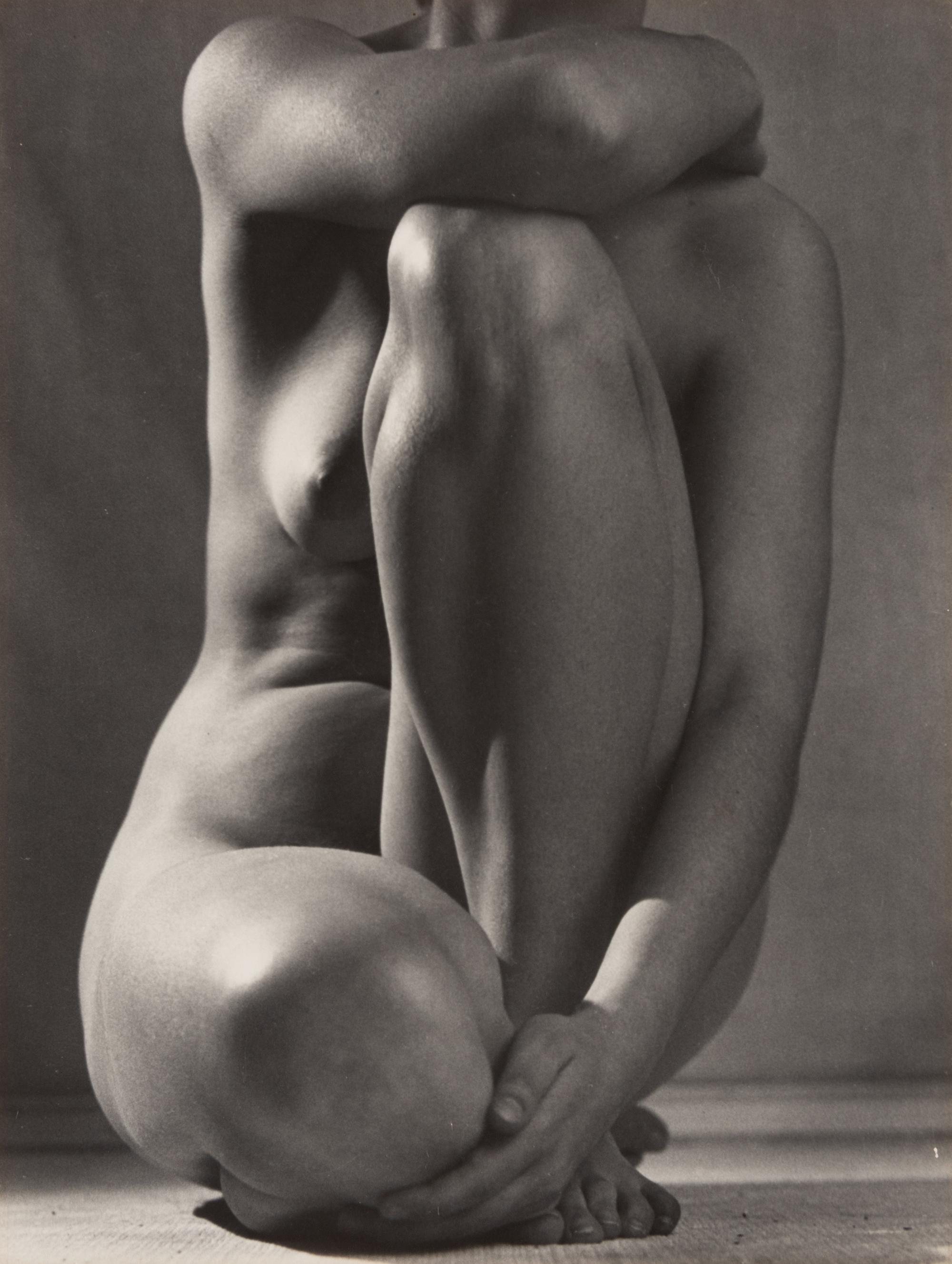 Classic Torso