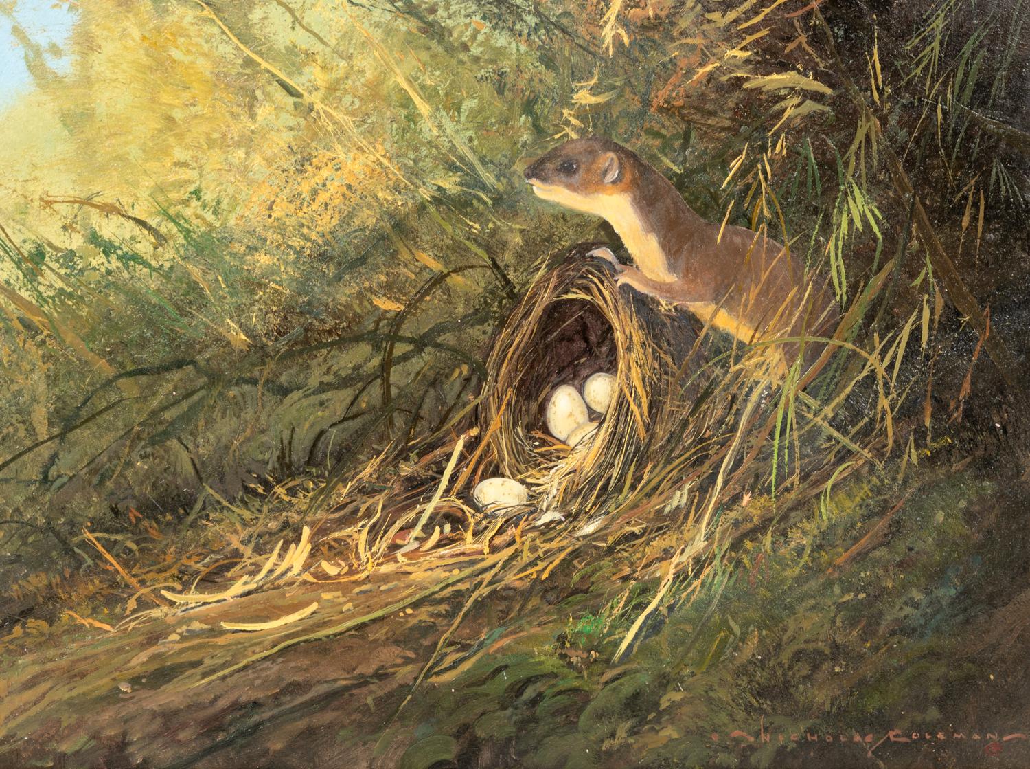 Bird Nest