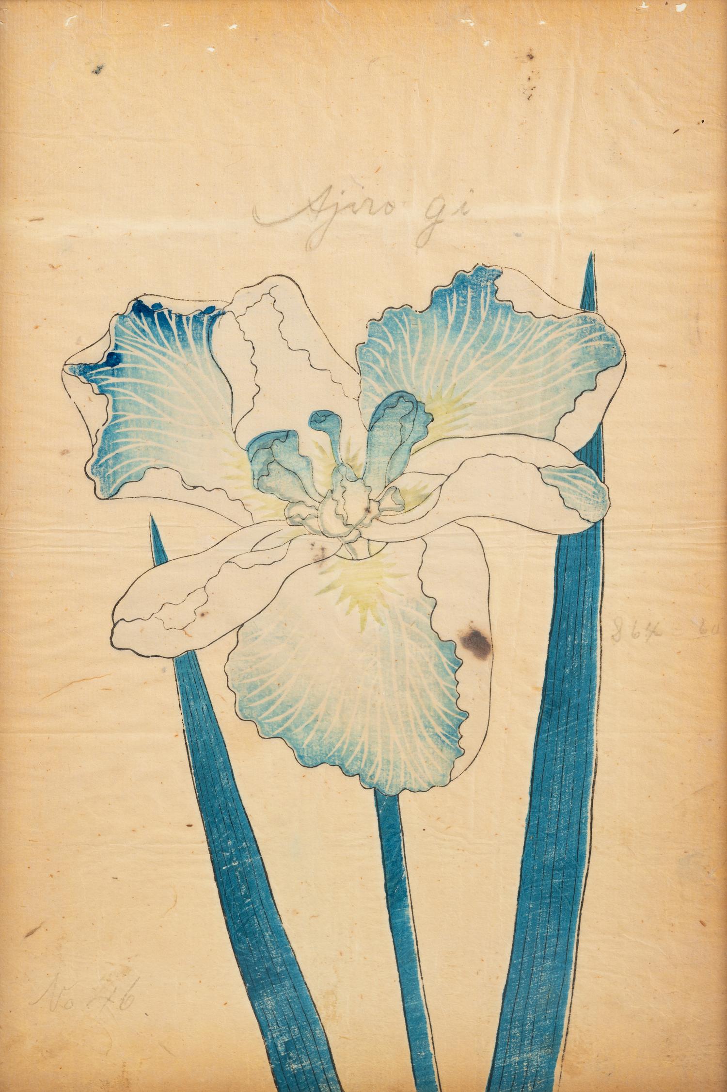 A Group of Six Japanese Color Lithographs from the Yokohama Seed Company