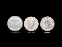 [PRIVATE ISSUE] A Large Collection of 1-Pound and 1/2-Pound Silver Rounds