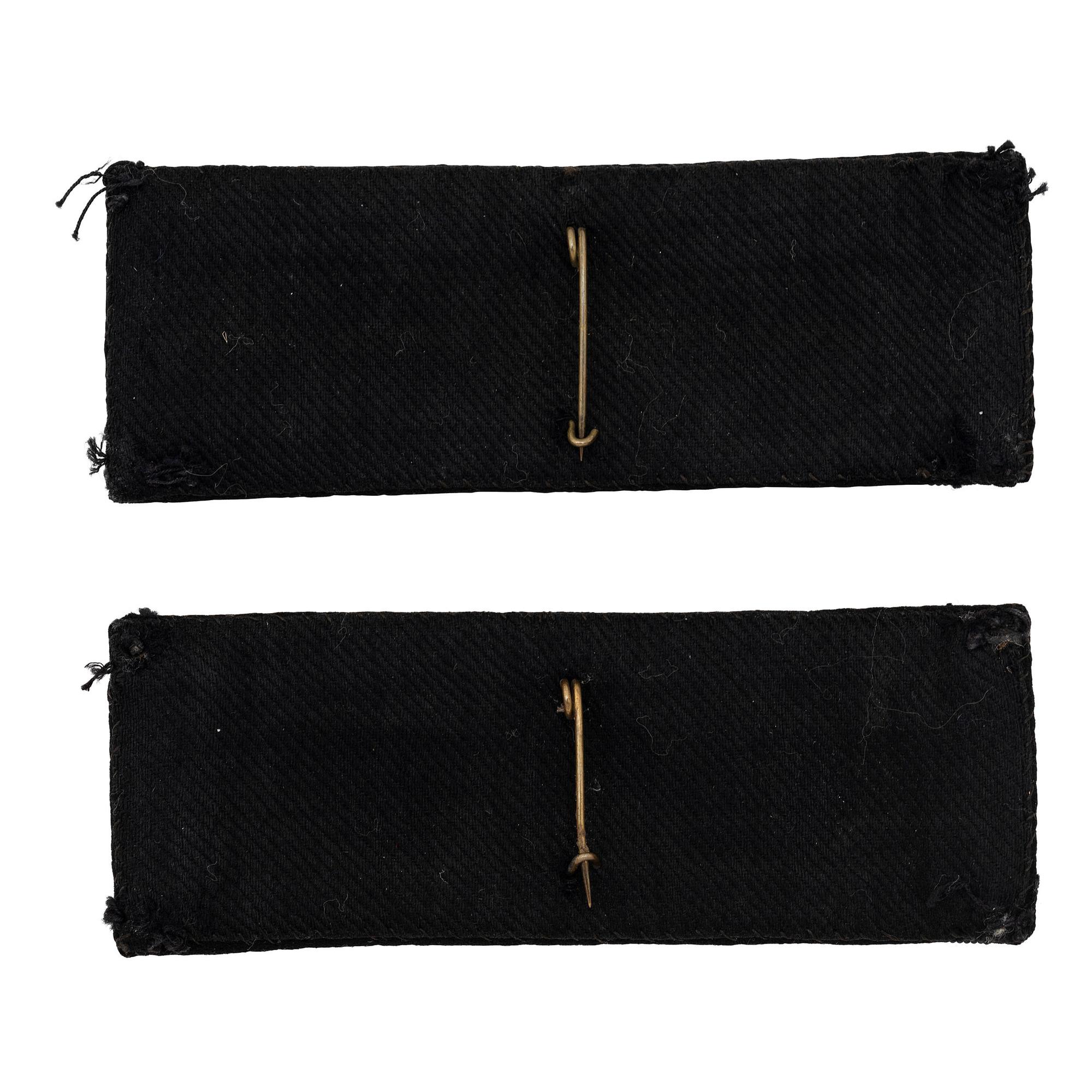 Rare Combination Captain's Bars and Colonel's Eagles Pin Back Shoulder Straps on a Blue Field