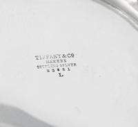 A Tiffany and Co. Silver Monteith Bowl