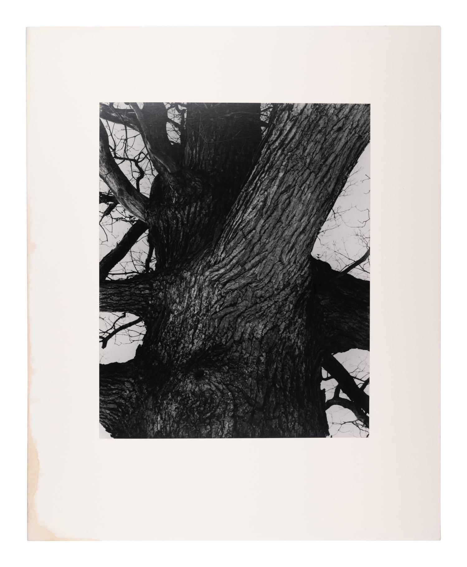 A group of fourteen photographs (from Twenty-Five Photographs printed by George Tice with labels signed by George Tice and Joanna Steichen)