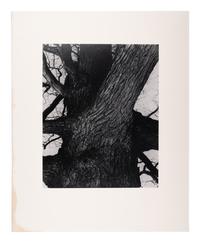 A group of fourteen photographs (from Twenty-Five Photographs printed by George Tice with labels signed by George Tice and Joanna Steichen)
