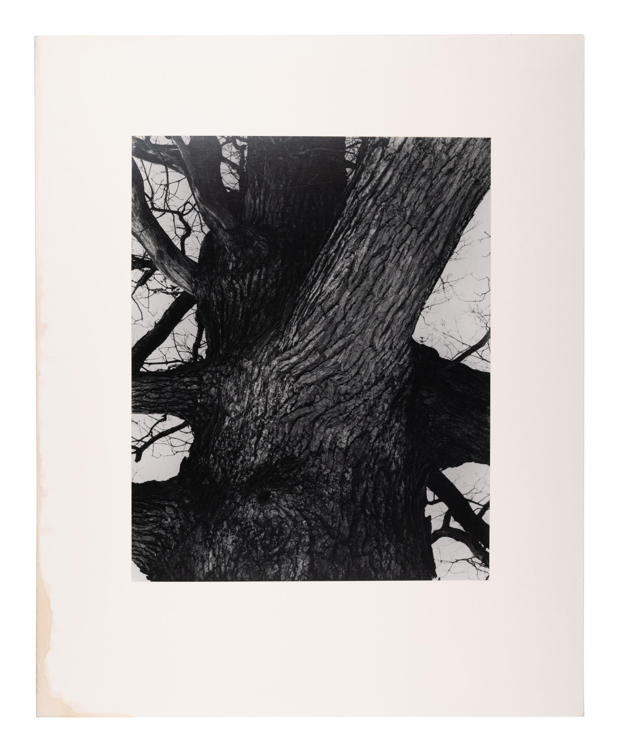 A group of fourteen photographs (from Twenty-Five Photographs printed by George Tice with labels signed by George Tice and Joanna Steichen)