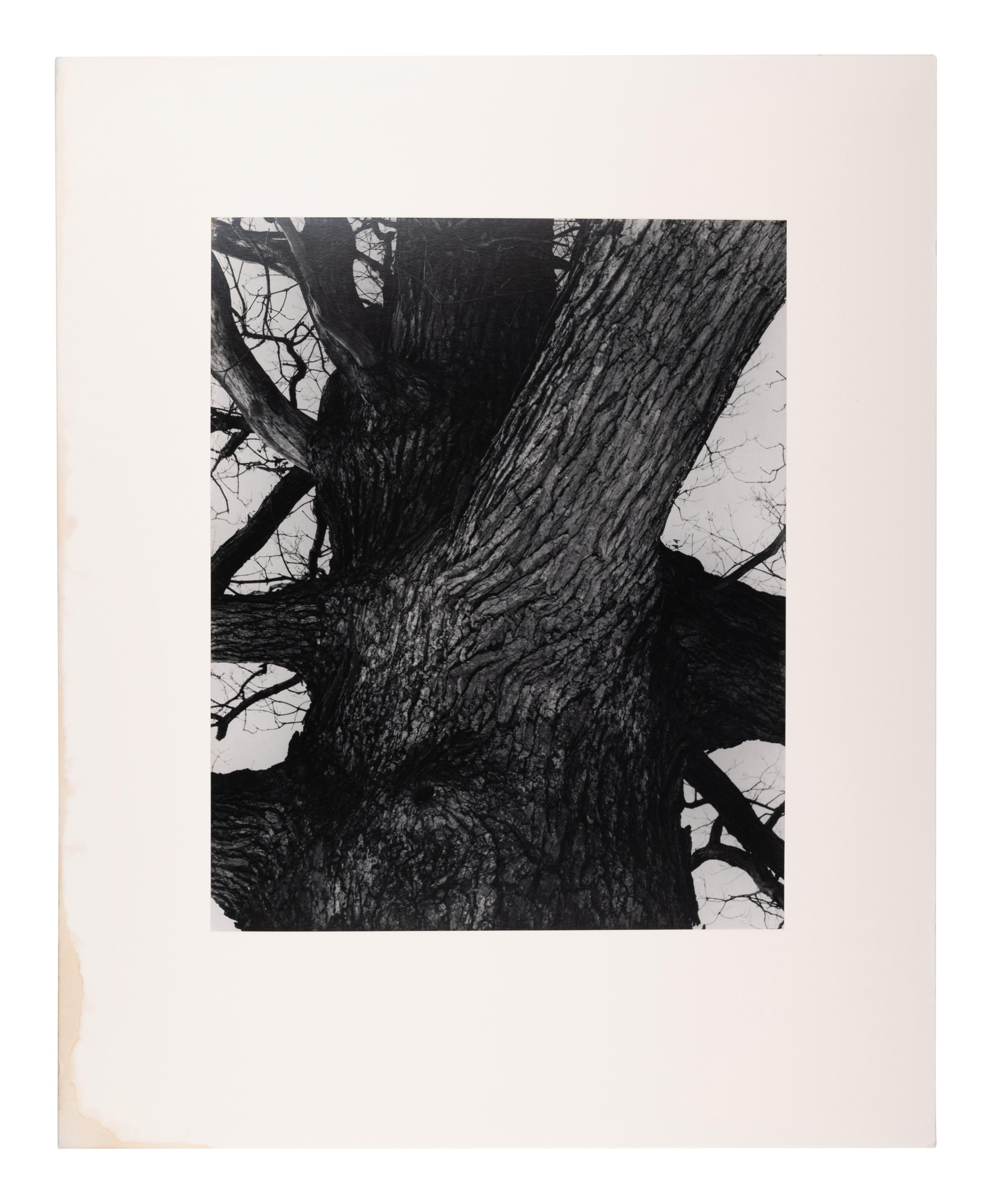 A group of fourteen photographs (from Twenty-Five Photographs printed by George Tice with labels signed by George Tice and Joanna Steichen)
