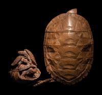 A Japanese Terrapin-Form Boxwood Three- Case Inro, Ojime and Netsuke
