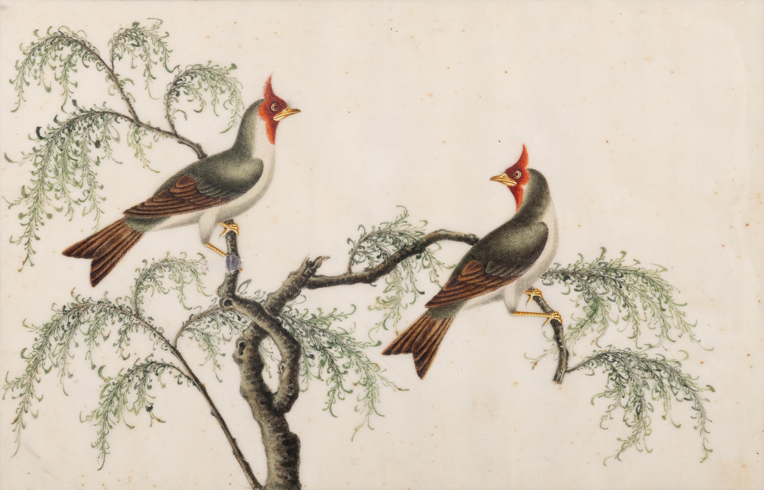 A Set of Twelve Chinese Export Watercolor and Pith Paintings