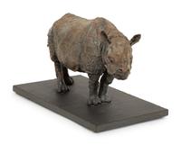 Rhinoceros
