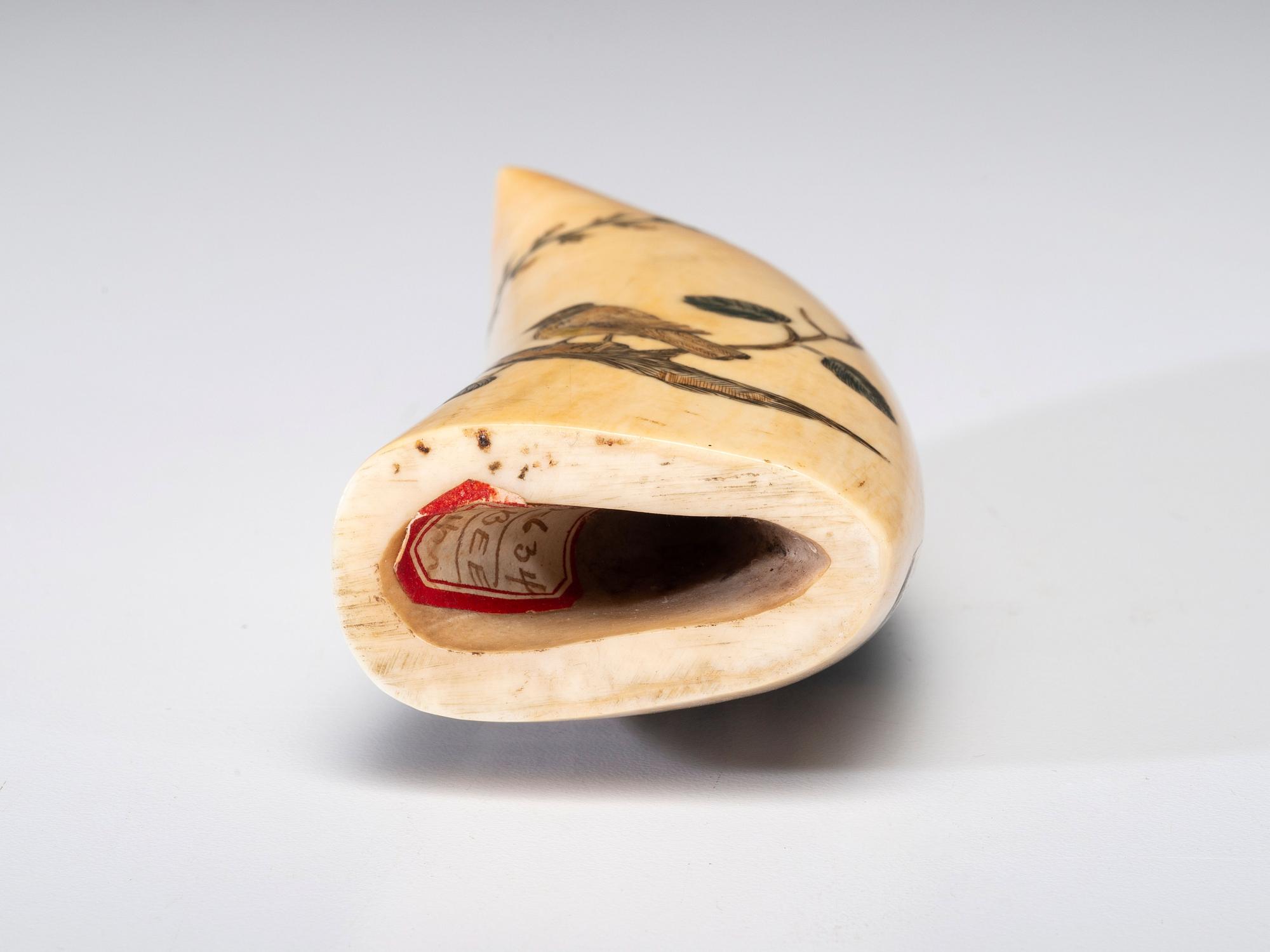 A Scrimshaw Sperm Whale's Tooth