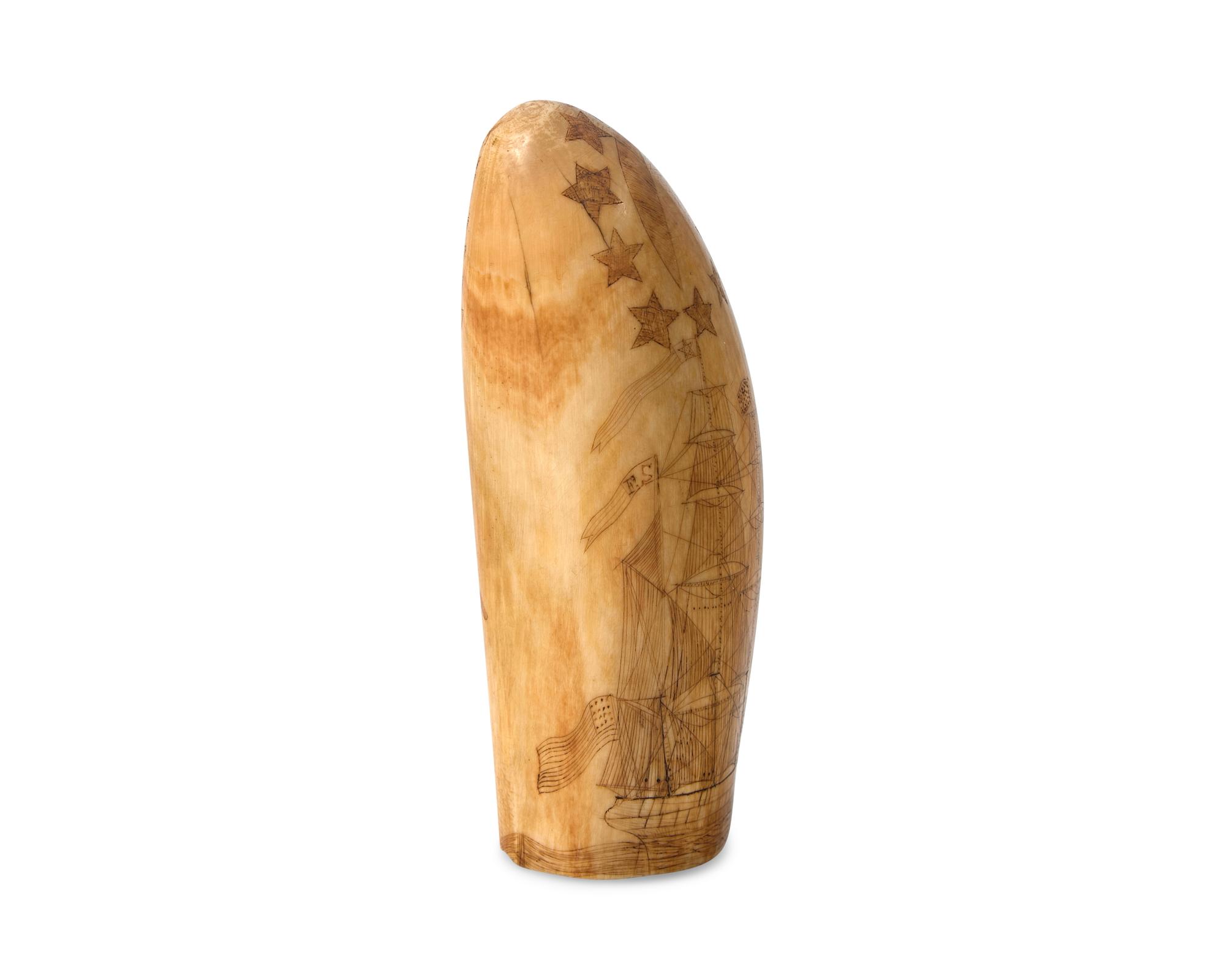 A Scrimshaw Whale Tooth