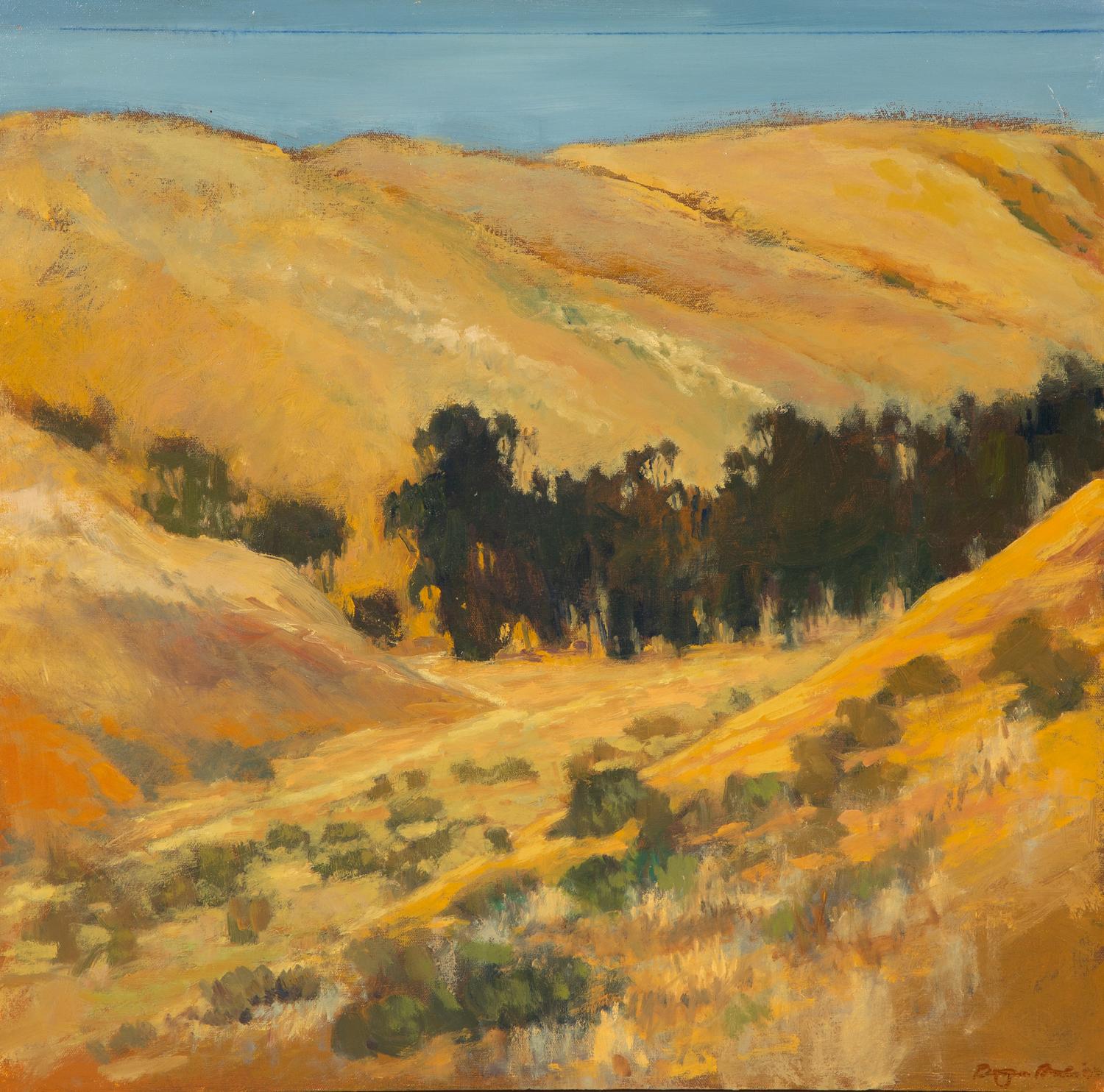 Island Canyon