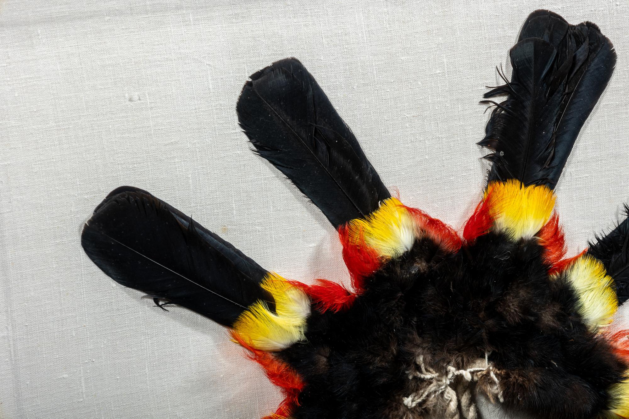 A Yanomami Feather Armband